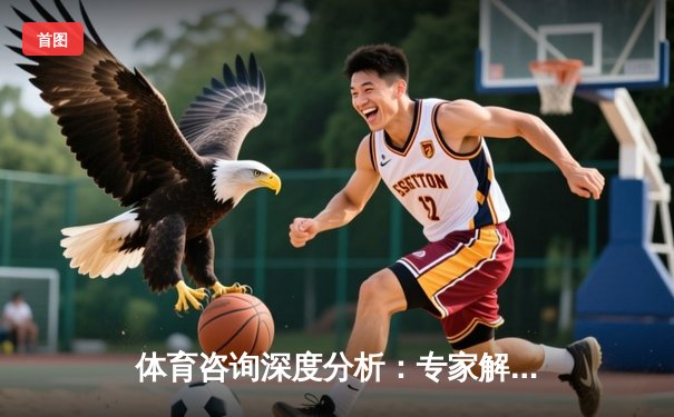 体育咨询深度分析：专家解读